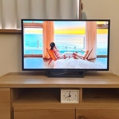 SONY BRAVIAテレビまとめて交渉可能
