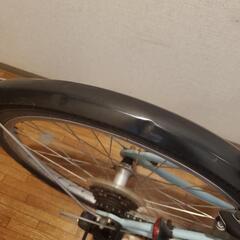 Khodaa bloom assonJ24  水色