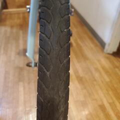 Khodaa bloom assonJ24  水色