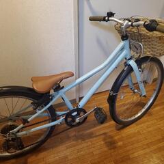 Khodaa bloom assonJ24 水色