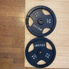 アイロテック 20キロプレート　4枚セット　穴径29ミリ　