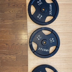 アイロテック 20キロプレート　4枚セット　穴径29ミリ　