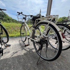 決まりました自転車