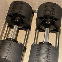 FLEXBELL 32kg×2個 シルバー 2kg刻み ＆ リーディングエッジ