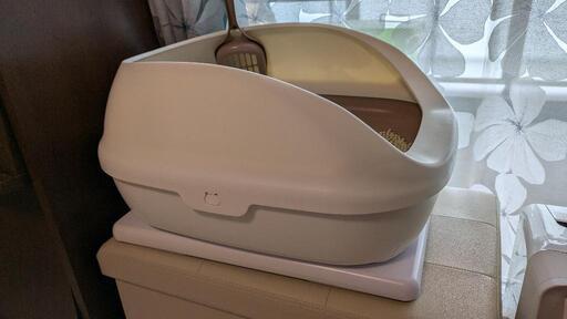 catlog board キャットログボード