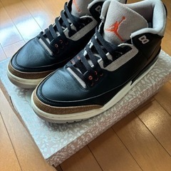 NIKE AIRJODAN 3 デザートエレファント