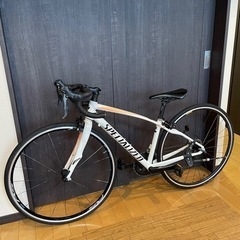 オーバーホール済Specialized DolceSport44サイズ オーバーホール済