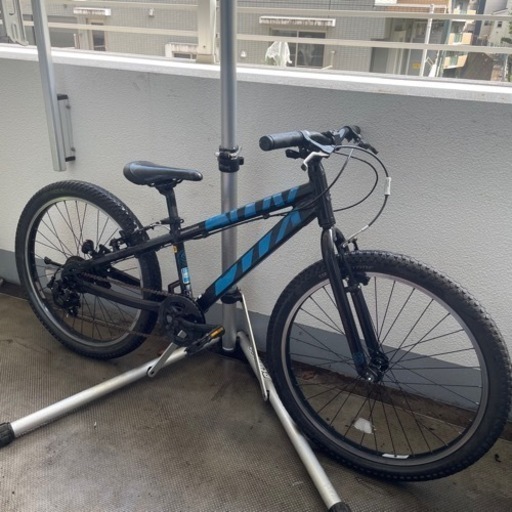 BRIDGESTONE BWX 24インチ 子供用自転車