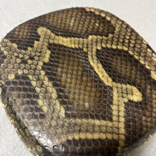 三線 チーガー 三線胴巻ティーガ本革スエード 三線胴巻ティーガ本革