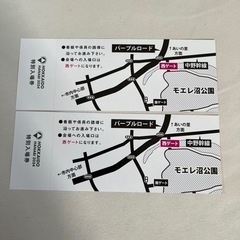 北海道芸術花火　モエレ花火　2024 ペアチケット