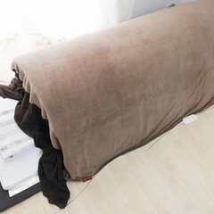 ★この低価格は7月28日購入まで★【遠赤外線&ゲルマニウム】ゲルマドームプロ