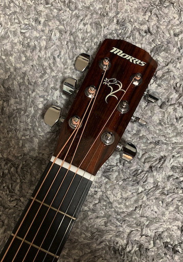 MORRIS F-01 II TS アコースティックギター