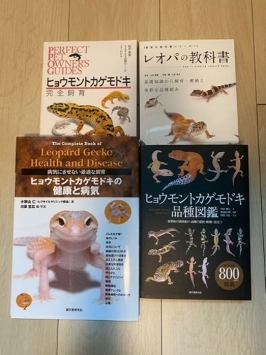 ヒョウモントカゲモドキ（レオパ）本セット
