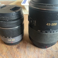 Panasonic LUMIX DMC-GH2