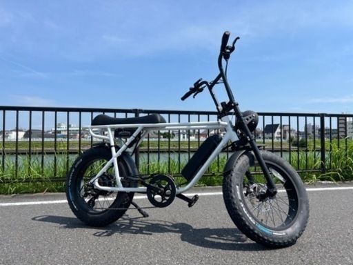 BRONX BUGGY ポリッシュ(ブロンクスバギー)電動自転車