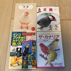 文鳥　カナリア　図鑑　本セット