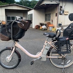 ♦️ delicia duo 電気自転車