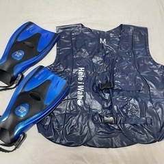 千葉県のシュノーケルの中古が安い！激安で譲ります・無料であげます  