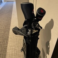 WORLD EAGLE(ワールドイーグル) F-01α メンズ ゴルフ フルクラブ セット【右用】フレックスR WE-J-F-01-MRH-R