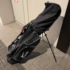 WORLD EAGLE(ワールドイーグル) F-01α メンズ ゴルフ フルクラブ セット【右用】フレックスR WE-J-F-01-MRH-R