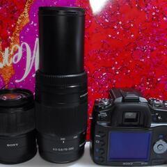 ★輝く瞬間を写す★SONY  α 100 ダブルズームキット★