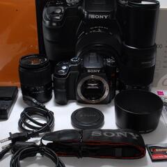 ★輝く瞬間を写す★SONY  α 100 ダブルズームキット★