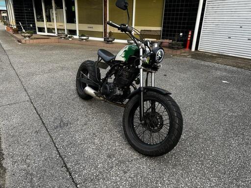 TW200 カスタム スクランブラー インターカラー 神戸市北区から！ 動画