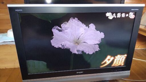 テレビ・映像機器 SHARP AQUOS 37インチ液晶テレビLC-37EX5 世界の亀山