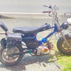 HONDA リトルカブ　カスタム　左マフラー　72cc クラッチ4速