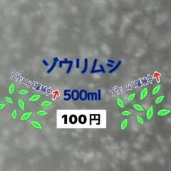 メダカ針子〜稚魚の餌に！活餌✨ゾウリムシ　　めだか無人販売所