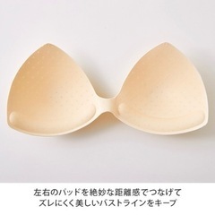 ‼️新品未開封品‼️ 育乳ブラ ジニエメルティタッチブラ  ライトベージュ リッチブラック ヌードピンク