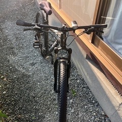 TREK マウンテンバイク自転車