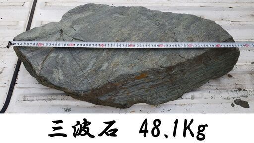 庭石鑑賞石 群馬県三波石 48.1Kg