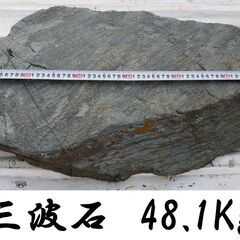 庭石鑑賞石 群馬県三波石 48.1Kg