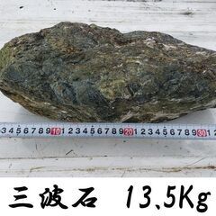 庭石鑑賞石 群馬県三波石 13.5Kg