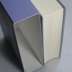 増補四柱推命学事典 亀石厓風