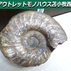 ヴィジュアル系・黄金の油絵（簡易な額あり50cm×65cm）