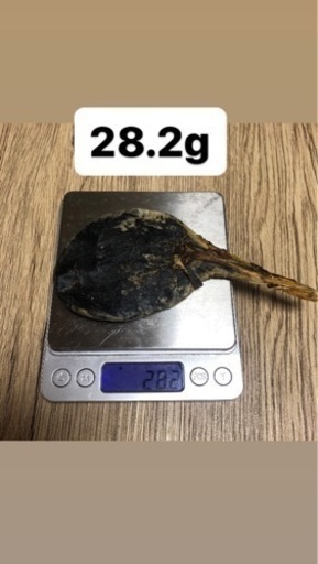 熊の胆