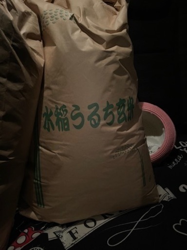 残り2袋！ 令和5年度新米玄米30kg