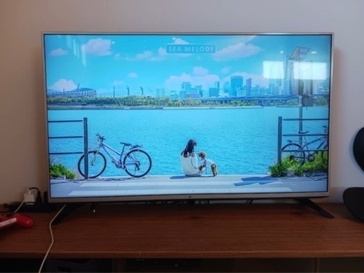 LG製49型テレビ