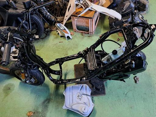 ホンダ ライブディオZX 2サイクル最終型 パールホワイト ライブディオ