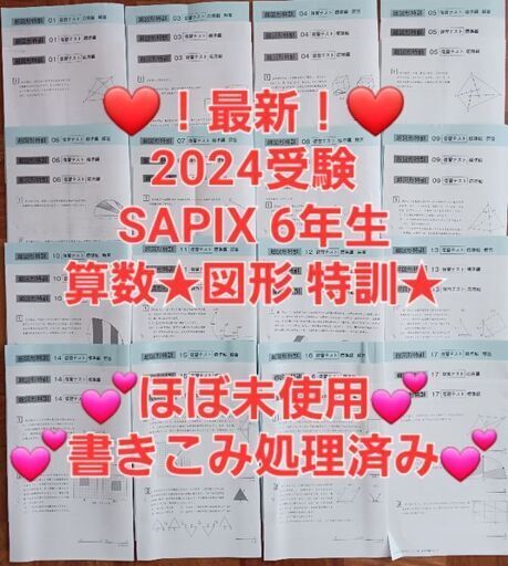 【★最新★2024受験】【ほぼ未使用】Sapix6年 算数 図形 特訓
