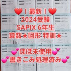 【★最新★2024受験】【ほぼ未使用】Sapix6年 算数 図形 特訓
