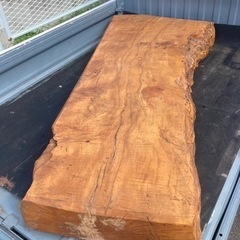 極厚】カエデ／楓／一枚板／座卓／ローテーブル