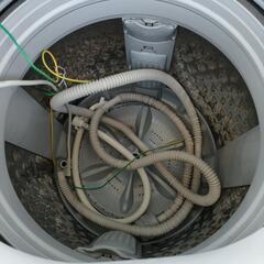 2022年製 極上超美品 東芝 7㎏ ZABOON ウルトラファイルバブル洗浄搭載 洗濯機 AW-7DH1