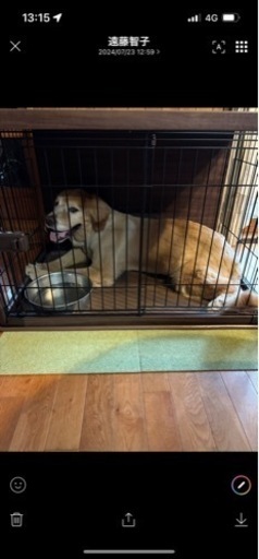 大型犬用ケージ