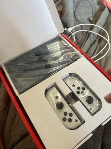その他 Switch