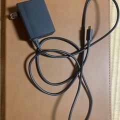 Nintendoスイッチライト　グレー🩶