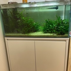 90センチオーバーフロー水槽、水槽台一式