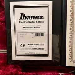 Ibanez j.costom RG8870 AGT